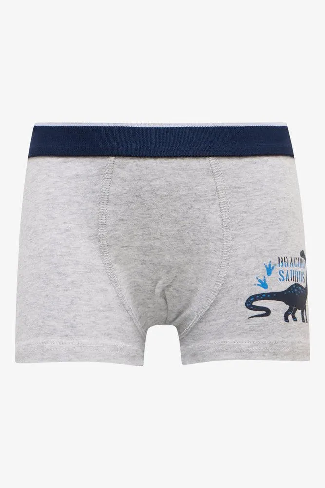 3 Pack Boxers Blue