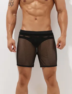 Sexy Mesh Shorts 00605